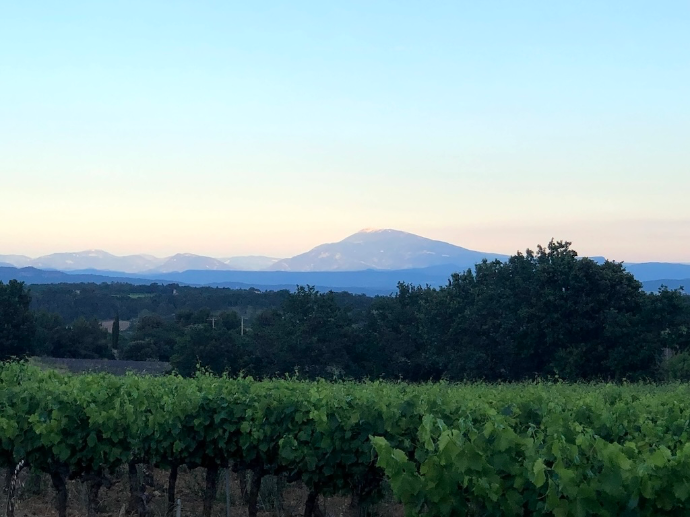 Vue depuis le Mas Labegude Panorama du Ventoux depuis la Mas Labegude
